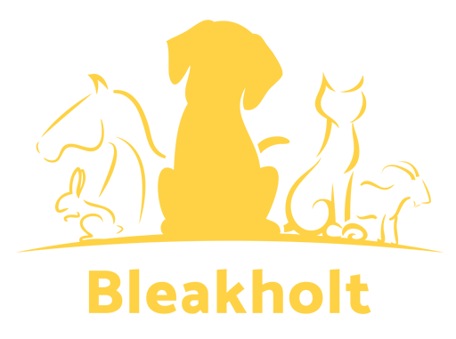 bleakholt kittens